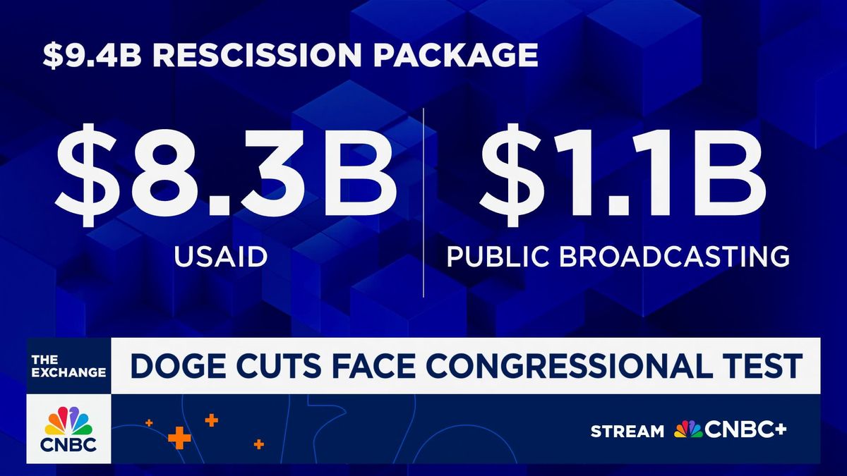 Elon Musk's Neuralink filed as 'disadvantaged business' before being valued at $9 billion 1 DOGE cuts face congressional test. Here's a breakdown