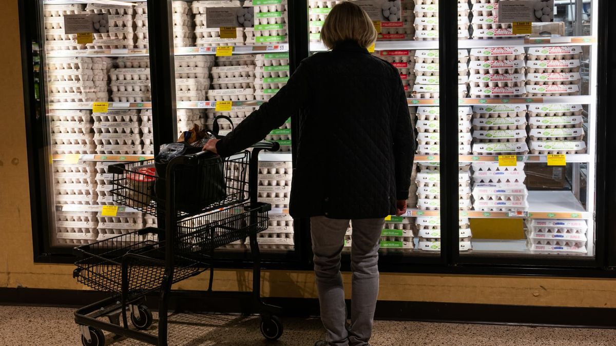 Wholesale egg prices have ‘plunged,’ analyst says — shoppers may soon see some relief
