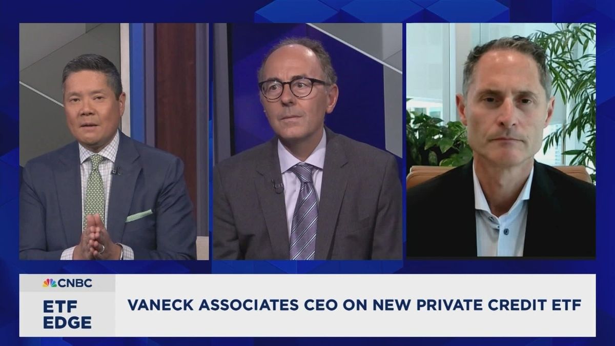 New ETF gives investors opportunity to act like private equity giant as shift away from public stocks picks up 1 VanEck moves first to target alternative asset managers themselves