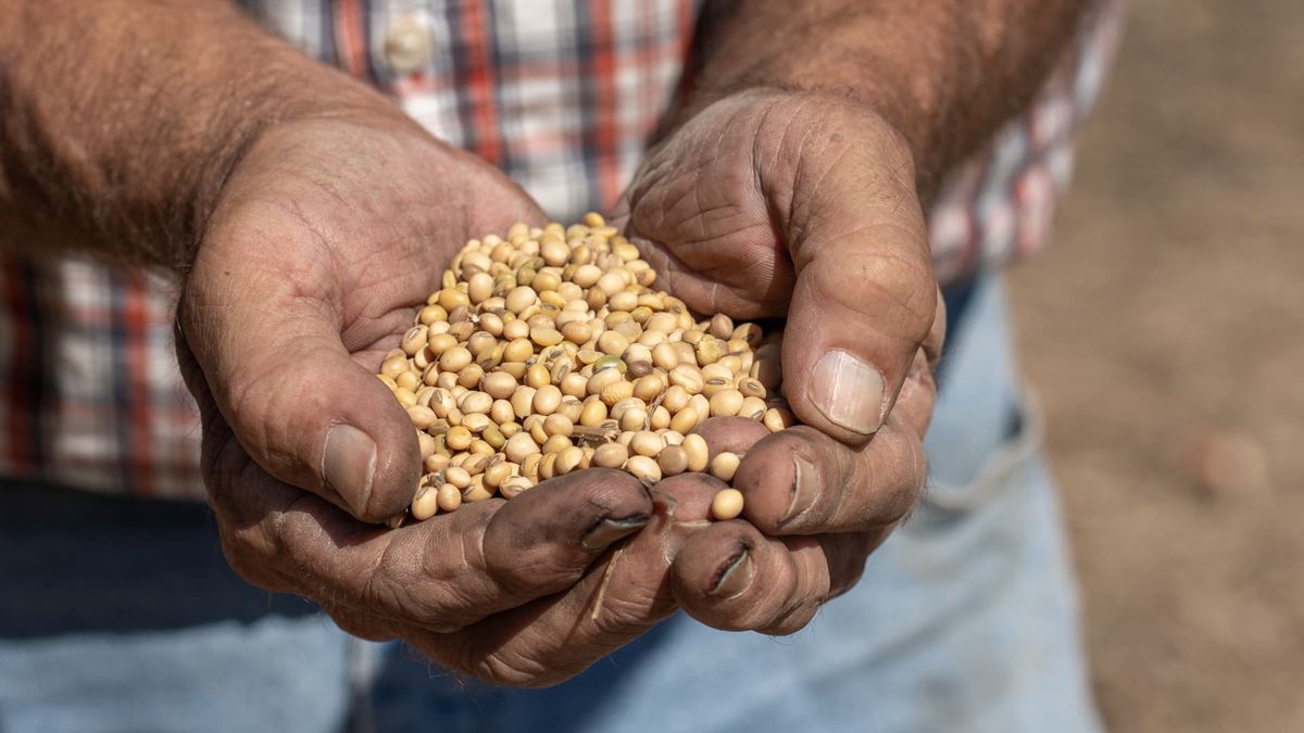 White House touts deals on soybeans and rare earths after Trump-Xi summit, while China talks up tariff cuts