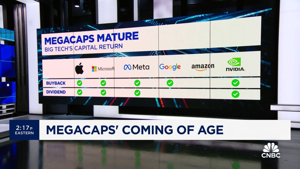 Tech execs are telling investors they have to spend money to make money on AI 2 What Meta's first-ever dividend announcement suggests