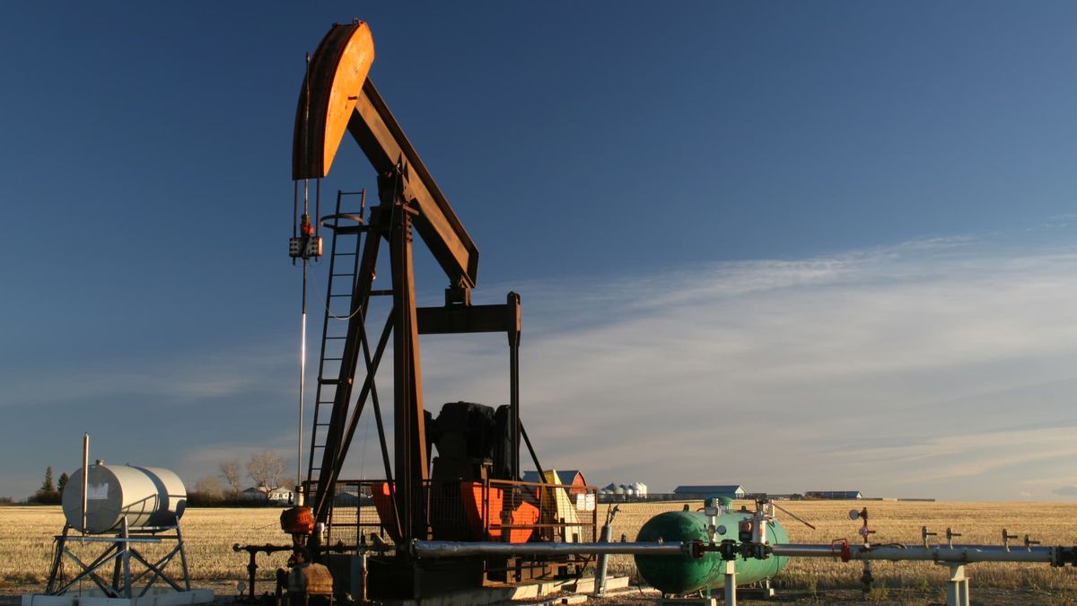 The energy trade that excites VanEck’s CEO — and it’s not oil