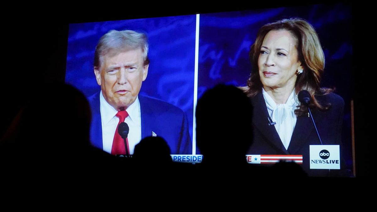 Trump or Harris? Here are the 2024 stakes for airlines, banks, EVs, health care and more Trump or Harris? Here are the 2024 stakes for airlines, banks, EVs, health care and more