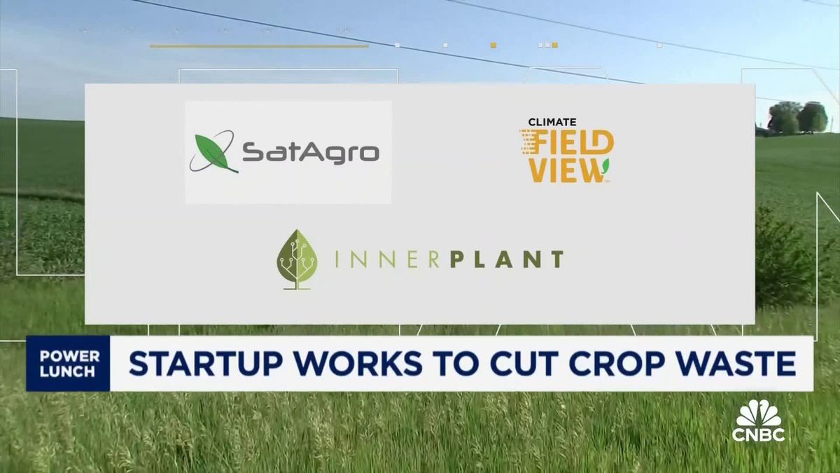 Take a look inside a $1.1 million 'zero emissions' home 1 Scientists creating 'talking' plants to reduce crop waste