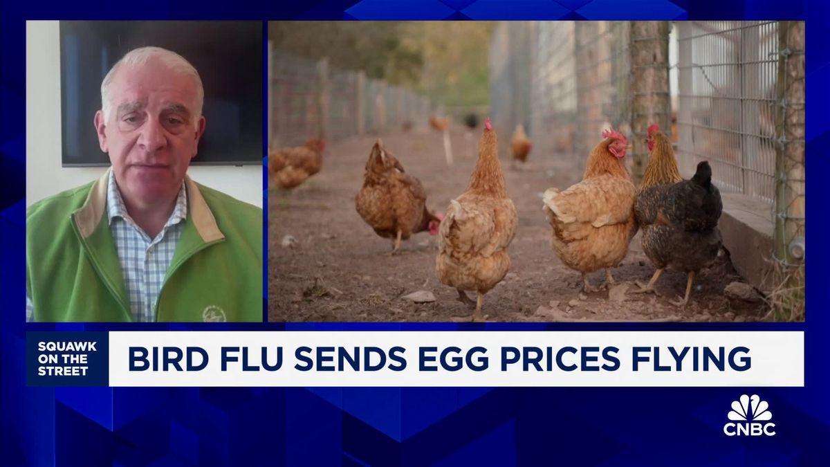 Wholesale egg prices have 'plunged,' analyst says — shoppers may soon see some relief 1 Pete & Gerry's Eggs CEO Tom Flocco: The run-up in egg prices is unprecedented