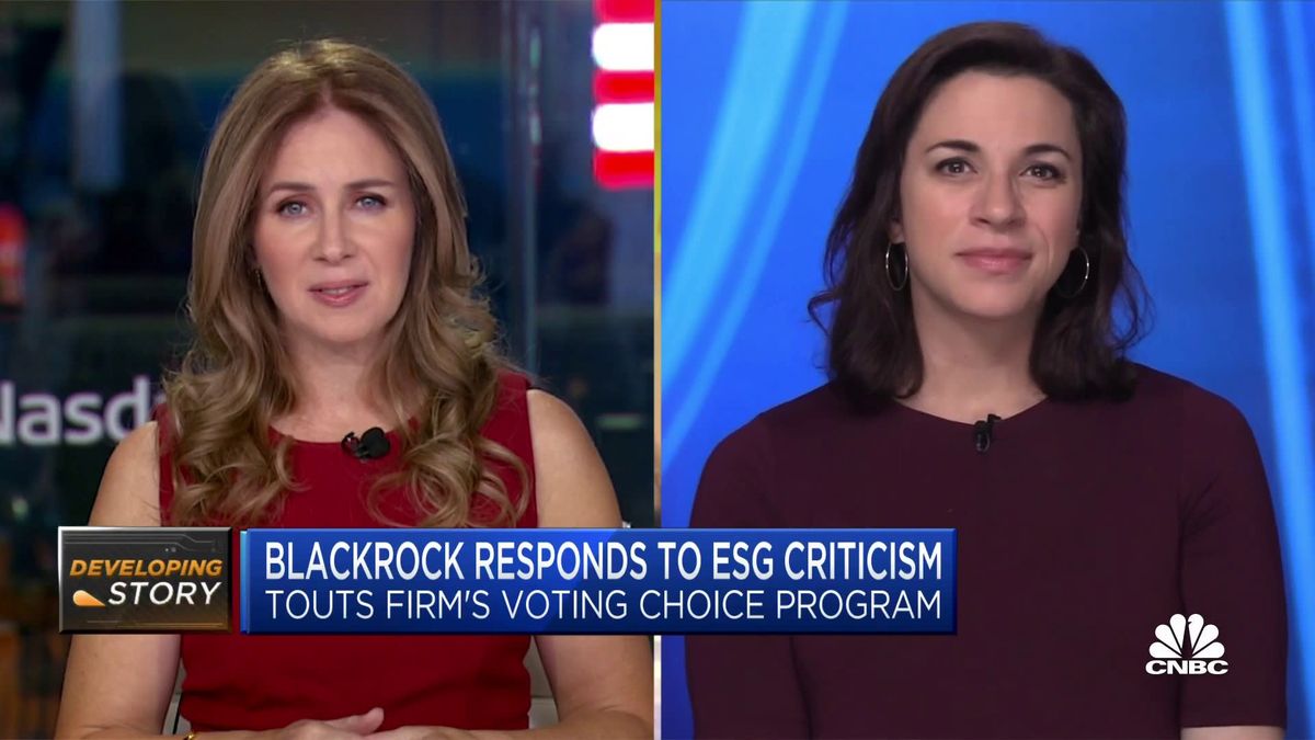 Activist investor calls for BlackRock CEO Fink to step down over ESG ‘hypocrisy’ 3 BlackRock touts firm's voting choice program in response to ESG critics