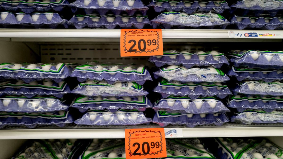 Here’s the inflation breakdown for February 2025 — in one chart Here’s the inflation breakdown for February 2025 — in one chart