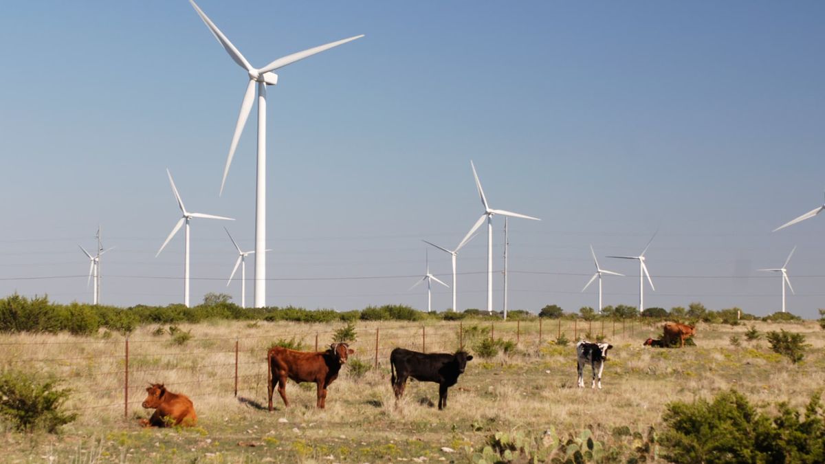 Bye-bye bitcoin, hello AI: Texas miners leave crypto for next new wave Bye-bye bitcoin, hello AI: Texas miners leave crypto for next new wave