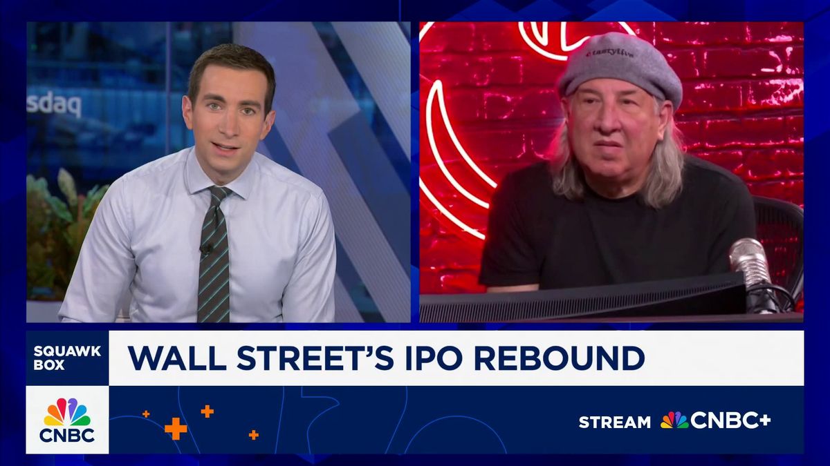 Netskope prices IPO at $19, valuing company at $7.3 billion 1 Some of the recent IPO offerings have been 'frothy', says Tastylive's Tom Sosnoff