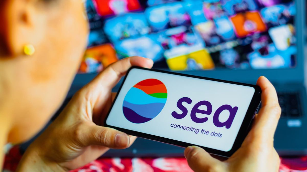 Singapore’s Sea Limited posts first profitable year amid efforts to defend market share against Lazada, TikTok