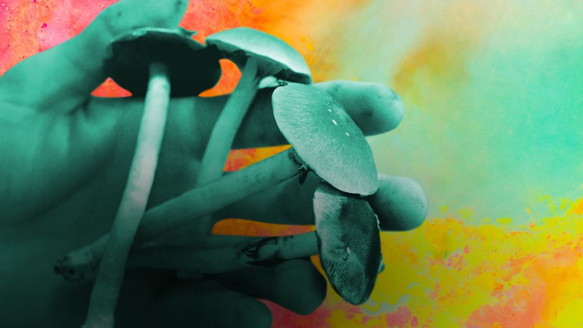 Elon Musk's Neuralink implants brain tech in human patient for the first time 1 Countries around the world have legalized cannabis. Guess what could be next