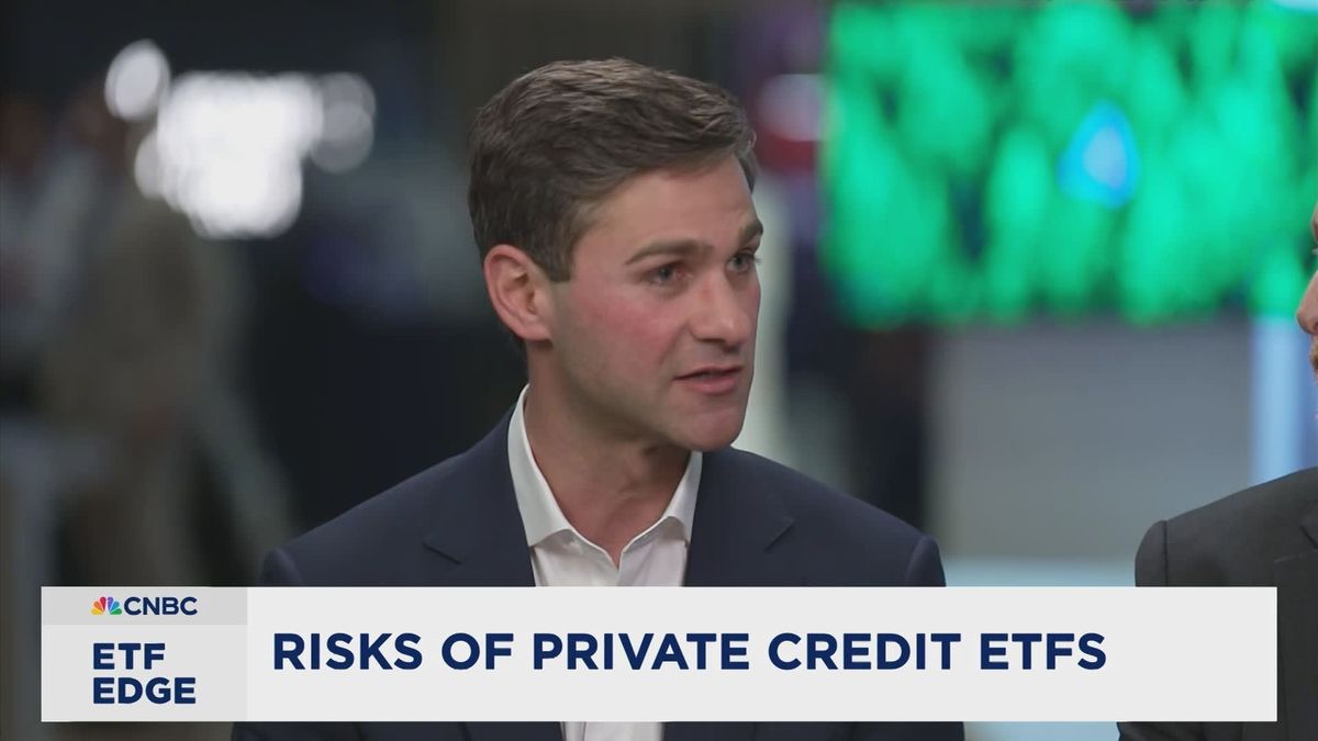 In risky market, Wall Street wants to privatize more of your stock and bond money 1 Big swing and a big miss? How options and private credit ETFs are changing the market.