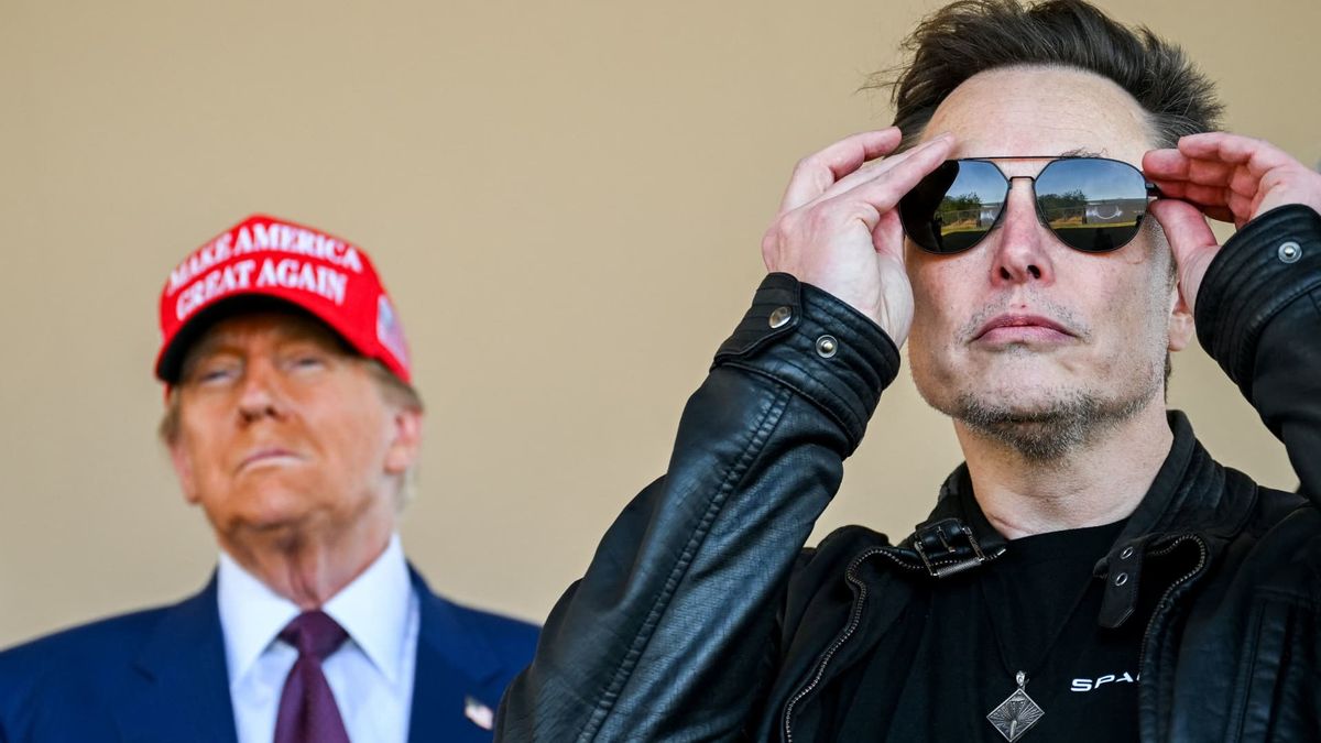 How Elon Musk’s plan to slash government agencies and regulation may benefit his empire How Elon Musk’s plan to slash government agencies and regulation may benefit his empire