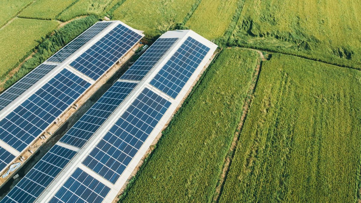 Google invests in BlackRock-backed Taiwanese solar developer to boost energy capacity amid AI boom Google invests in BlackRock-backed Taiwanese solar developer to boost energy capacity amid AI boom