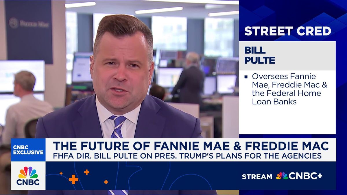 Palantir teams up with Fannie Mae in AI push to sniff out mortgage fraud 2 Fannie Mae and Freddie Mac could be worth trillions of dollars, says chairman Bill Pulte