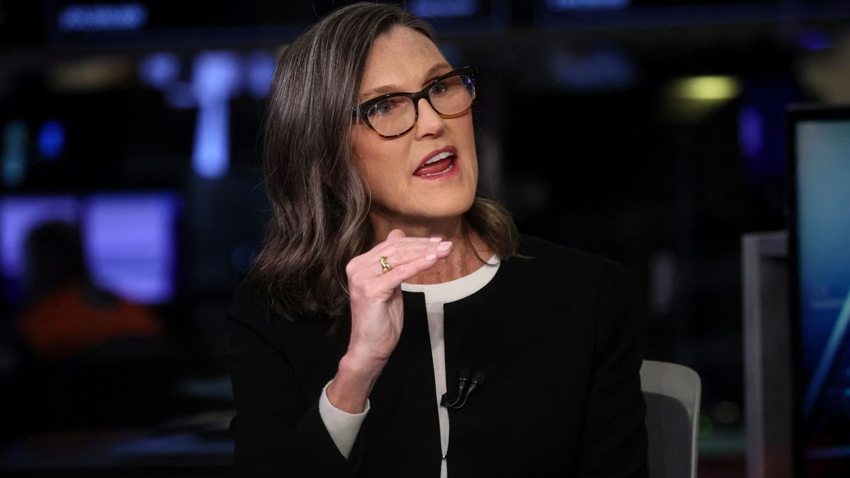 ARK CEO Cathie Wood says she avoided the Arm IPO frenzy. Here’s why