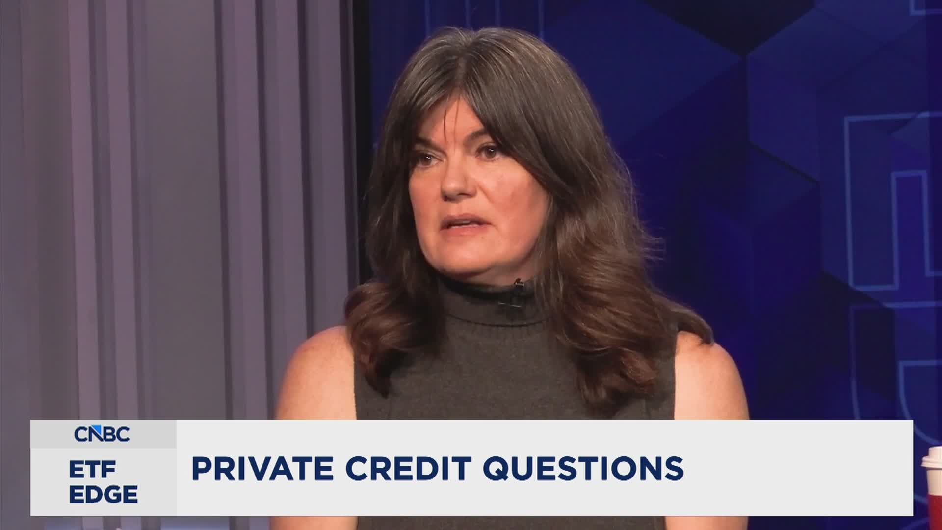 Fixed-income ETF provider BondBloxx questions private credit meltdown fears, sees space as sensible way to generate income 1 The growth of private credit in ETF investing