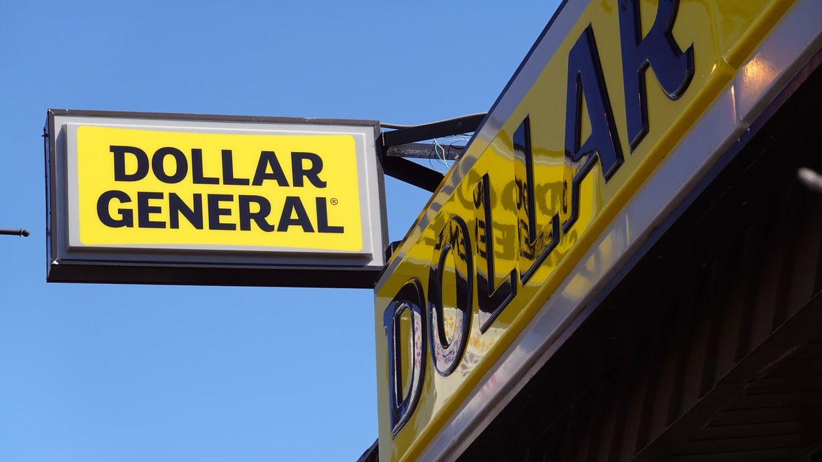 Dollar General shares crater 20% as retailer cuts outlook, blaming ‘financially constrained’ customers