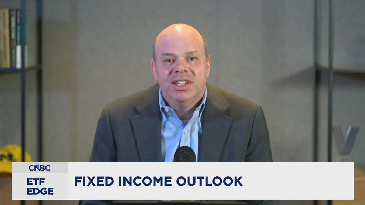How bond market's private credit crisis fears are playing out in fixed-income ETFs 1 Market volatility is pushing investors back to basics in the ETF industry