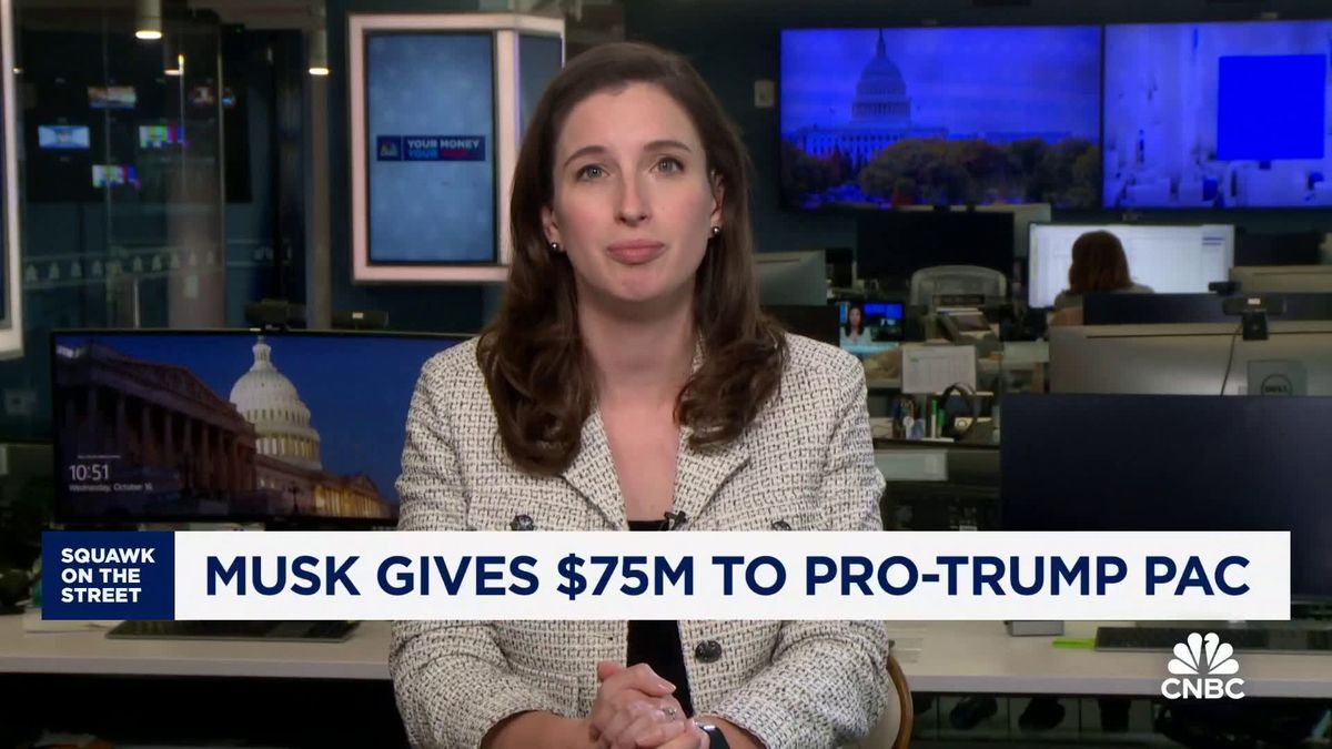 Elon Musk offers $1 million a day to entice swing state voters to sign petition 2 Elon Musk gives $75 million to pro-Trump PAC