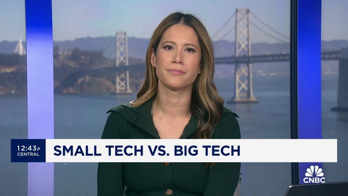 Tech stocks just wrapped up one of their best years in past two decades after 2022 slump 2 Rate-sensitive tech stocks stage comeback despite high interest rates