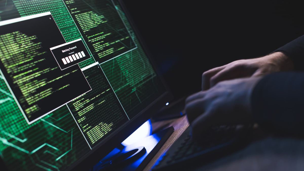 Trump budget cuts, agency gutting, leave Americans and economy at greater risk of being hacked, experts warn Trump budget cuts, agency gutting, leave Americans and economy at greater risk of being hacked, experts warn