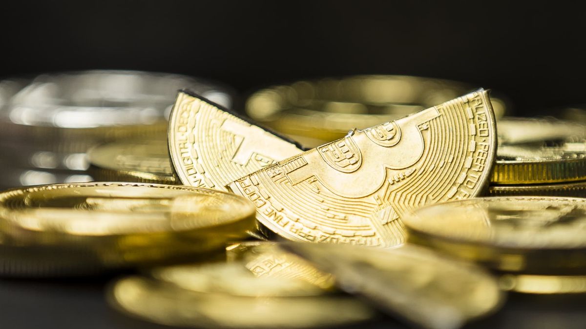 The upcoming bitcoin halving is different from others before it. Here’s what investors need to know. The upcoming bitcoin halving is different from others before it. Here’s what investors need to know.