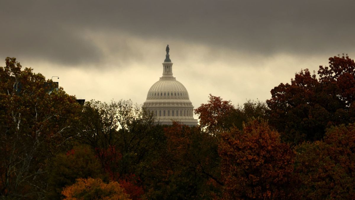 Affirm CEO says furloughed federal employees are starting to lose interest in shopping Affirm CEO says furloughed federal employees are starting to lose interest in shopping