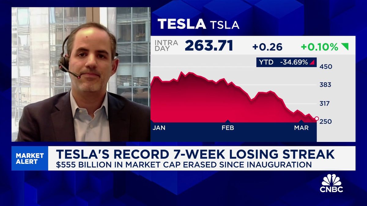 Tesla shares have declined every week since Elon Musk went to Washington 1 Tesla has consequential catalysts beyond Q1 in EV and AV business, says TD Cowen's Itay Michaeli