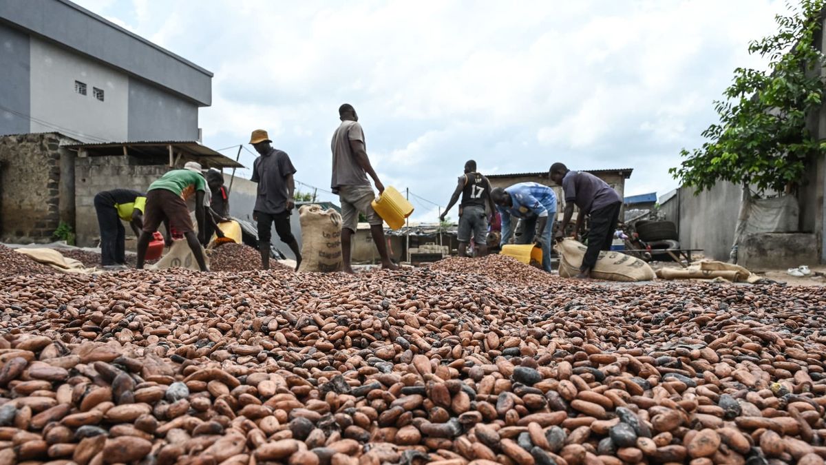 Cocoa prices hit ,000 per metric ton for the first time ever Cocoa prices hit ,000 per metric ton for the first time ever
