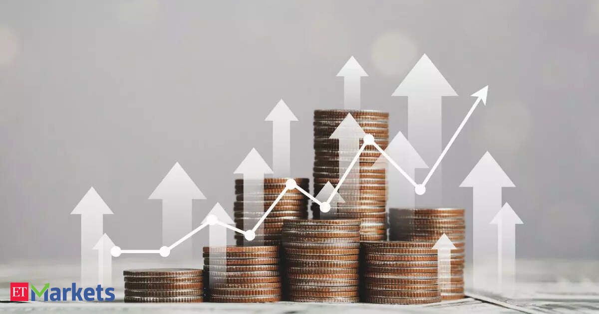 India Playbook 2024: Where to invest conundrum?