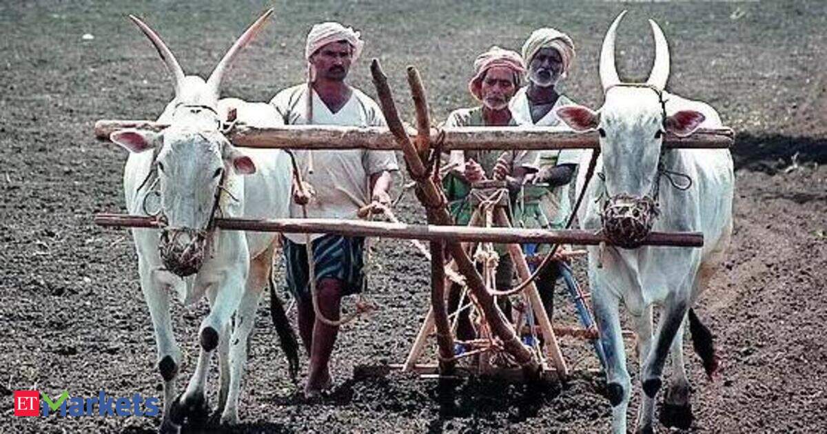 Deficient monsoon risk rises, but macro impact on GDP expected to stay muted