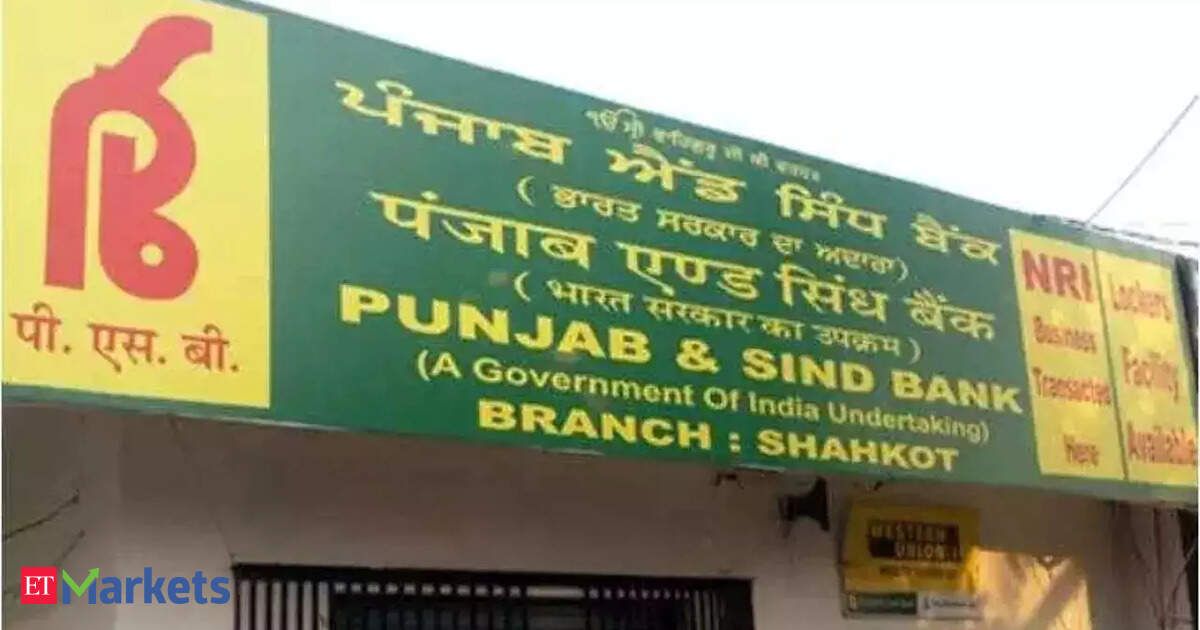 Punjab & Sind Bank raises Rs 3,000 cr from maiden infrastructure bonds