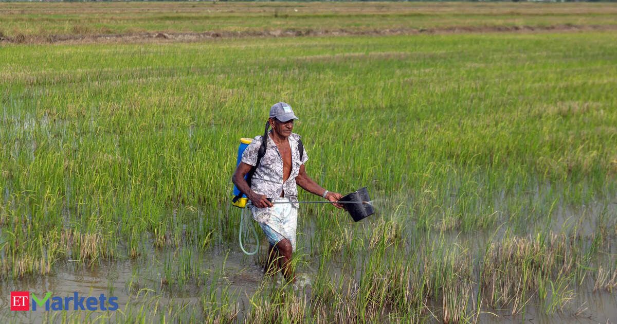Can agro-pesticide stocks sustain their remarkable growth? Can agro-pesticide stocks sustain their remarkable growth?