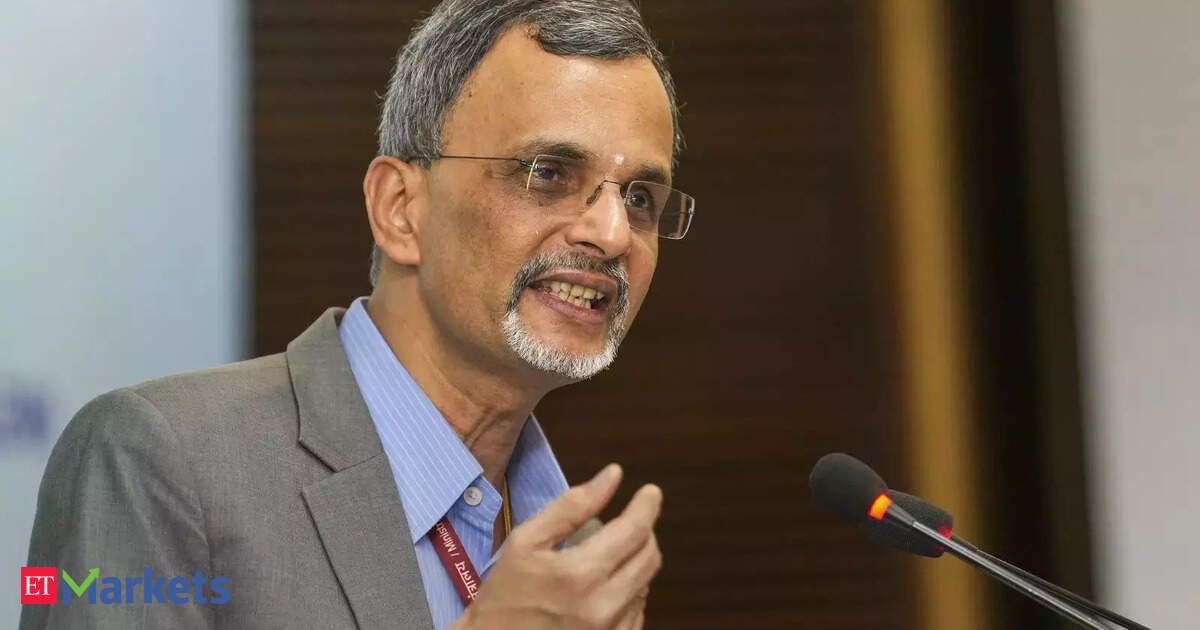 CEA Anantha Nageswaran says AI stock valuations definitely in a bubble
