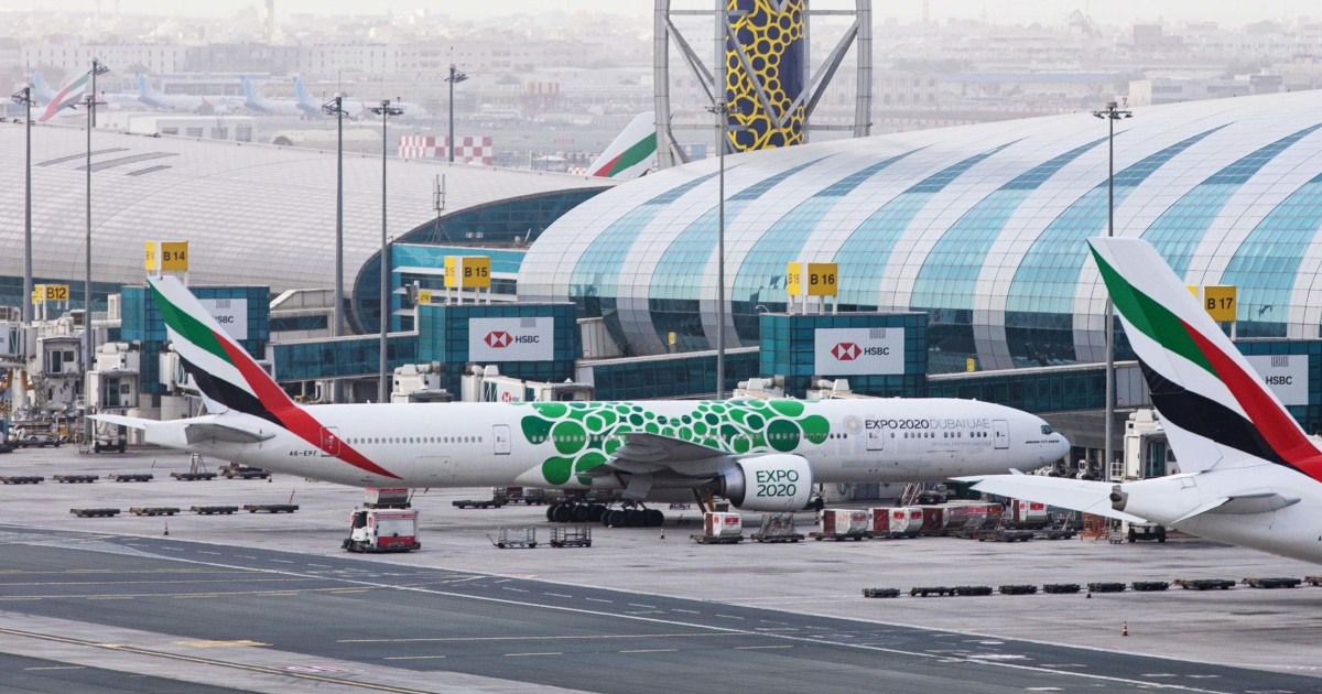 Bear escapes from crate in plane’s cargo hold, causing unbearable delay Bear escapes from crate in plane’s cargo hold, causing unbearable delay
