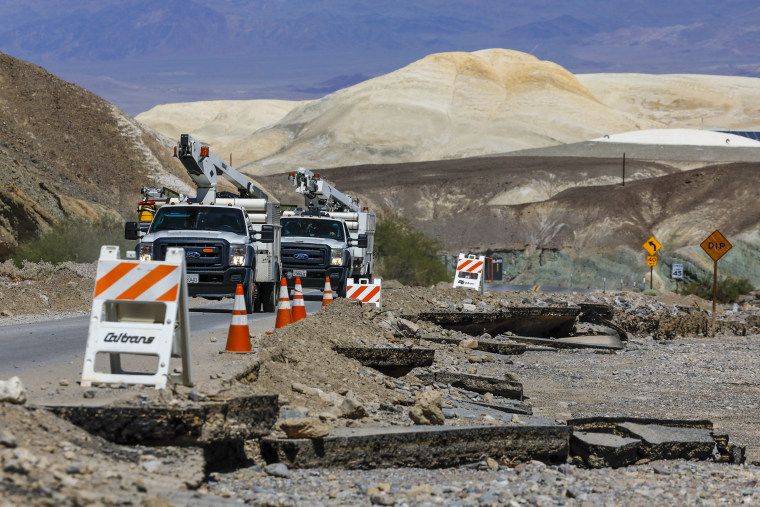 Tall flowers, dead shrubs, ephemeral lake: Death Valley has become a picture of climate whiplash 1 Death Valley damage from Hilary