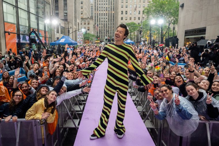 As he was: Harry Styles superfans flock to his tiny hometown's walking tour 2 Harry Styles