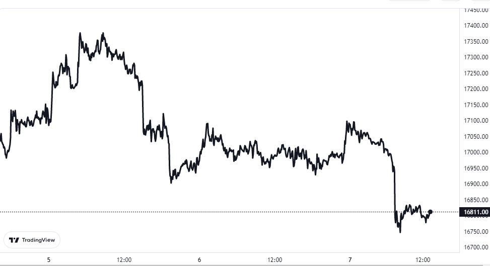 Bitcoin Holders Show Rapid New Accumulation For First Time This Bear, Bottom Signal? 2 Bitcoin Price Chart
