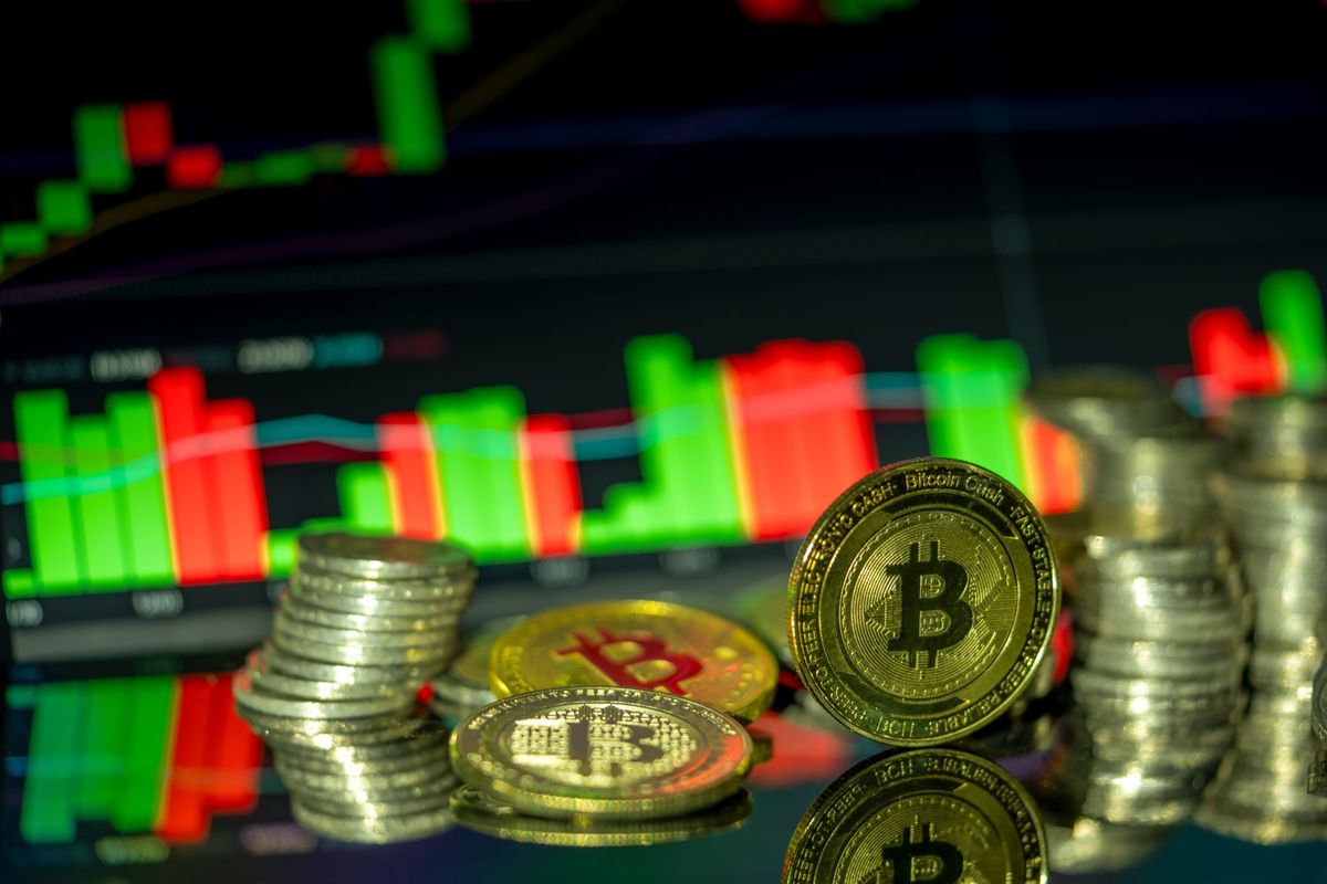 SHIB, WIF Climb 60% as Shorts Lose M Betting Against Meme Coins SHIB, WIF Climb 60% as Shorts Lose M Betting Against Meme Coins