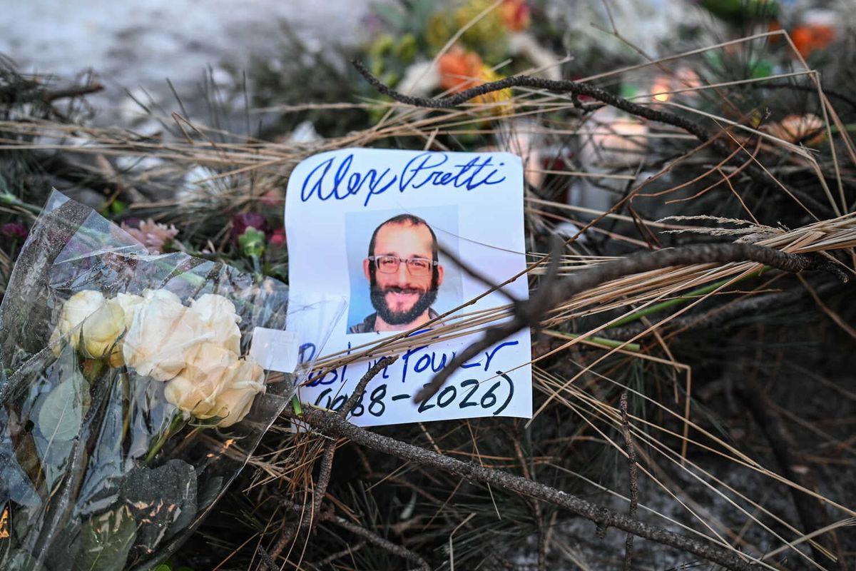Video: People Protest Federal Immigration Agents After Fatal Shooting 1 A photo of Alex Pretti is tucked among pine needles and sticks and flowers.