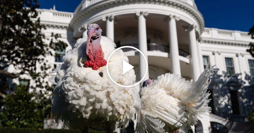 Video: Biden Pardons the Last Turkeys of His Presidency