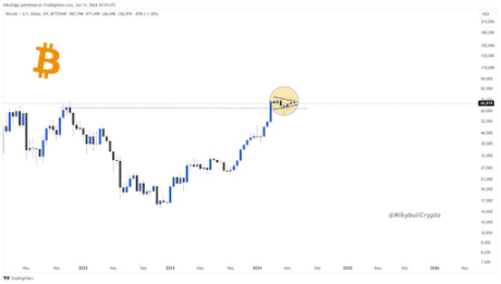Famous Analyst Dave The Wave Says Bitcoin Still Has Wiggle Room, Sets $300,000 Target 4 Bitcoin 4