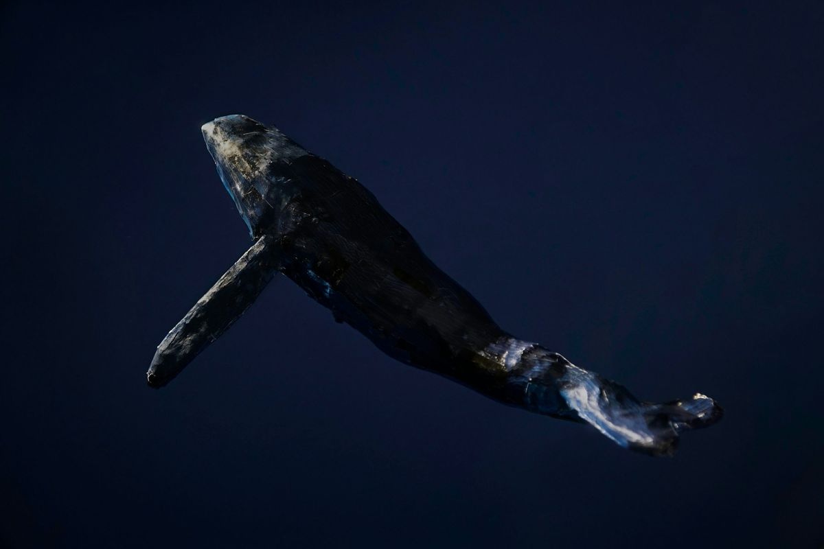 Dormant Whale Sells ,000 BTC, But Bitcoin Bulls Still In Control