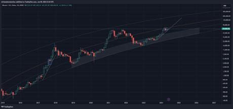 Famous Analyst Dave The Wave Says Bitcoin Still Has Wiggle Room, Sets $300,000 Target 1 BTC 1