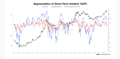 Bitcoin Short Term NUPL Value Turns Negative, What This Means For Price 1 Bitcoin