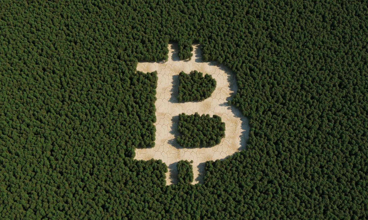 Bitcoin Rally Continues: Analyst Predicts ,000 Target Soon Bitcoin Rally Continues: Analyst Predicts ,000 Target Soon