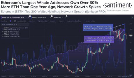 Ethereum Still Bullish: Richest ETH Wallets Go On Massive $124 Billion Buying Spree 1 Ethereum