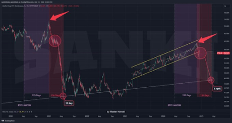 Bitcoin Price Dominance And Altcoin Season: What The Sudden Volatility Means For The Market 1 Bitcoin price