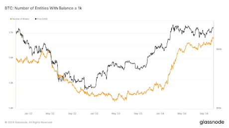 Bitcoin Whale Numbers Return To January 2021 Bull Market Levels, Is A New ATH Coming? 1 Bitcoin